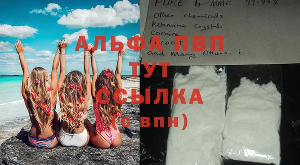 молекула духа Армянск