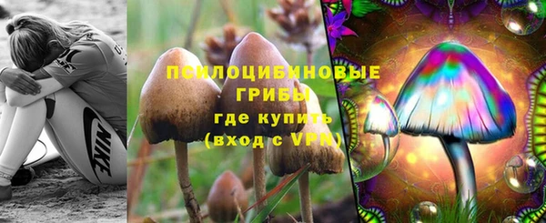 соль курить ск Аркадак