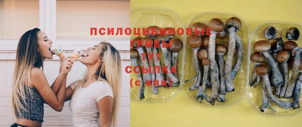 гидропоника Арсеньев