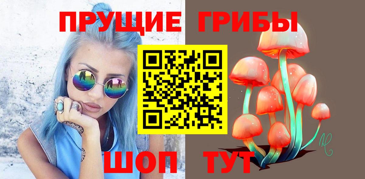 купить наркотик  Вход с VPN  Верхняя Салда  Псилоцибиновые грибы Cubensis 